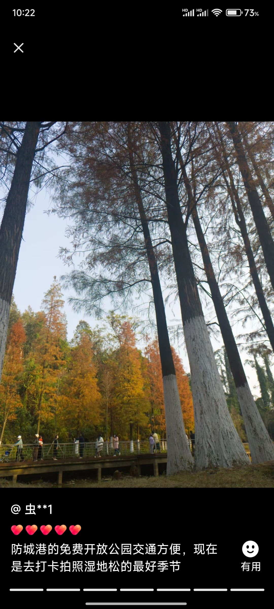 白鹭公园旅行图片 2