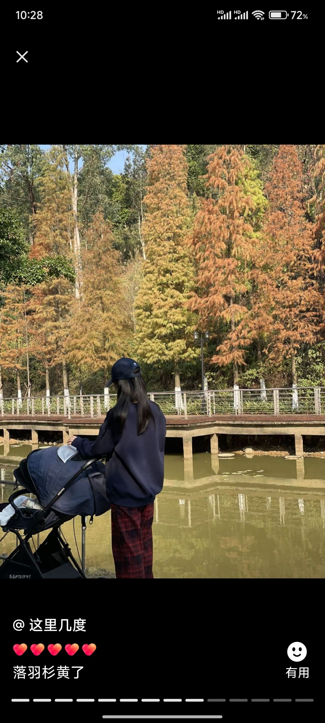 白鹭公园旅行图片 3