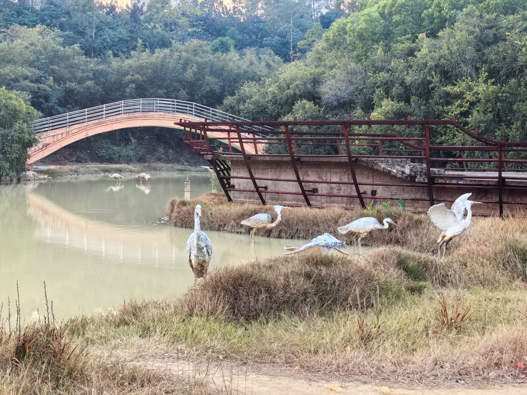 白鹭公园旅行图片 2