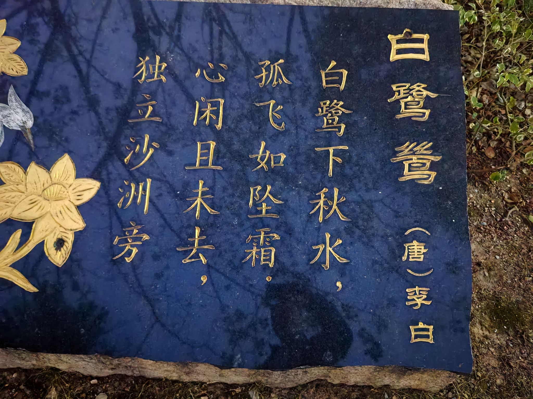 白鹭公园旅行图片 3