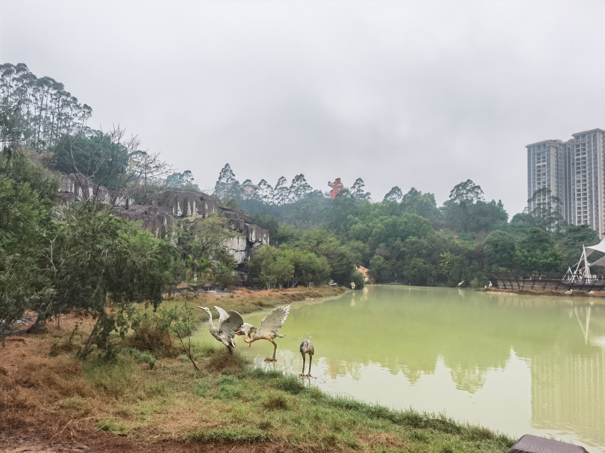 白鹭公园旅行图片 1