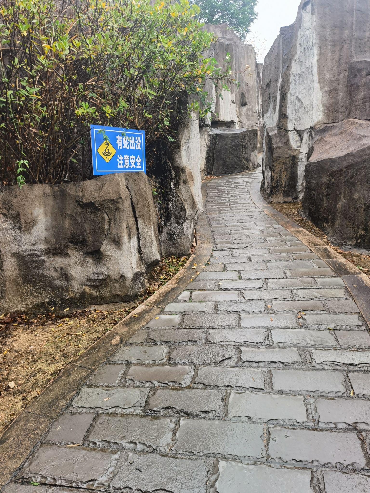 白鹭公园旅行图片 2