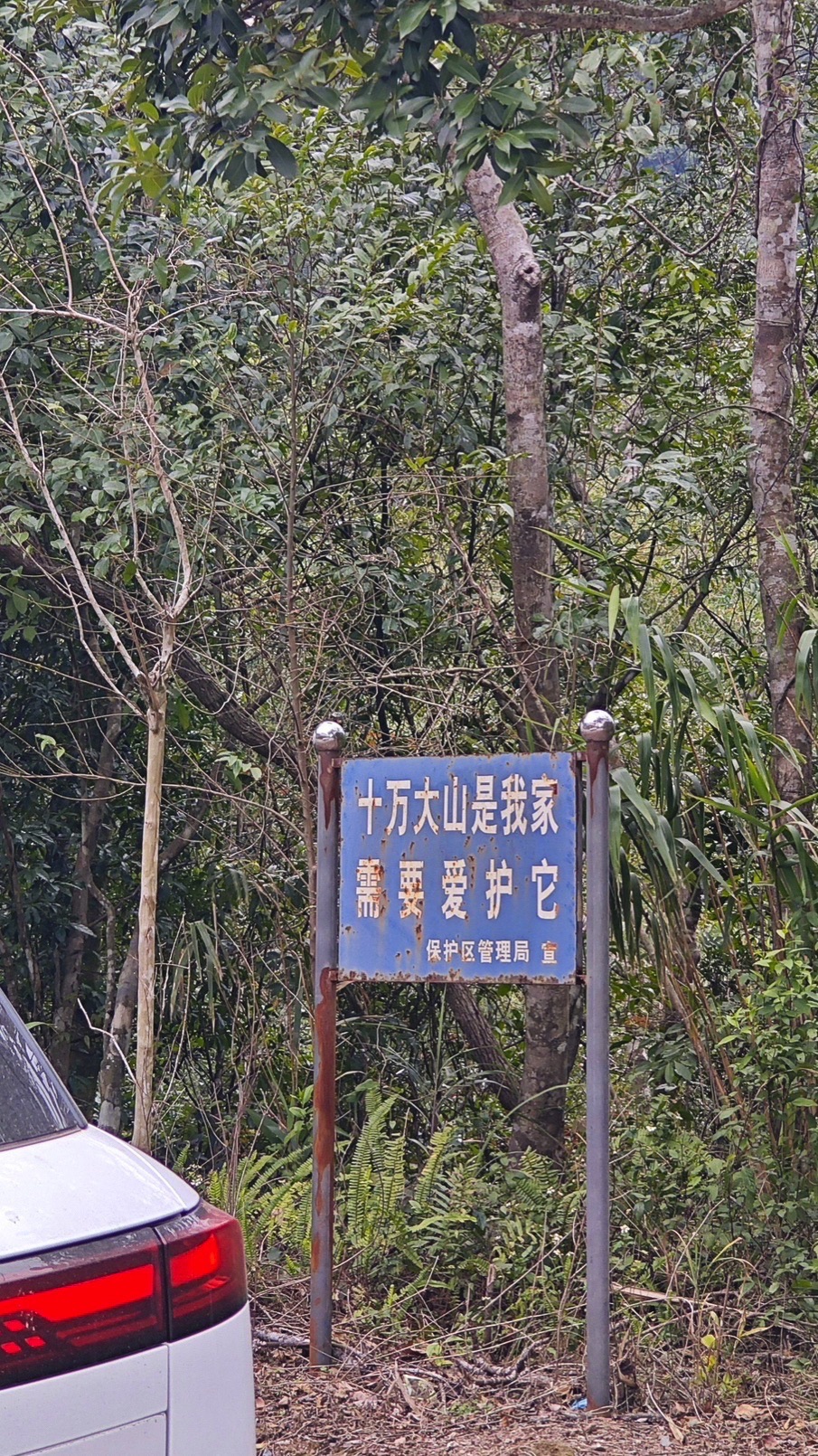 十万大山国家森林公园旅行图片 3