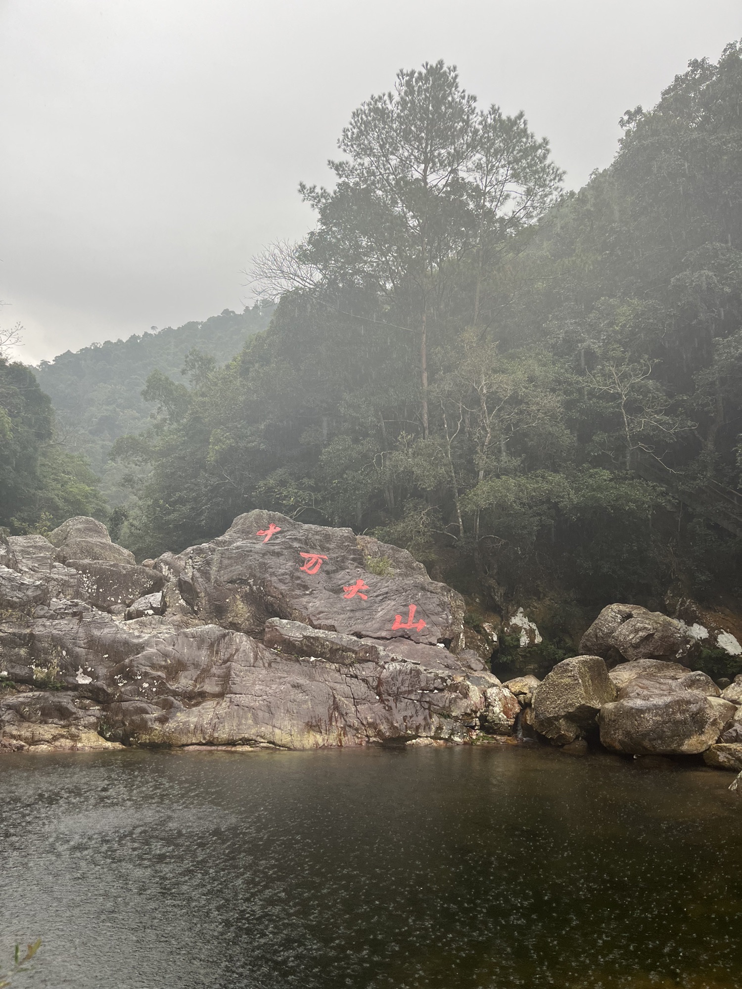 十万大山国家森林公园旅行图片 3