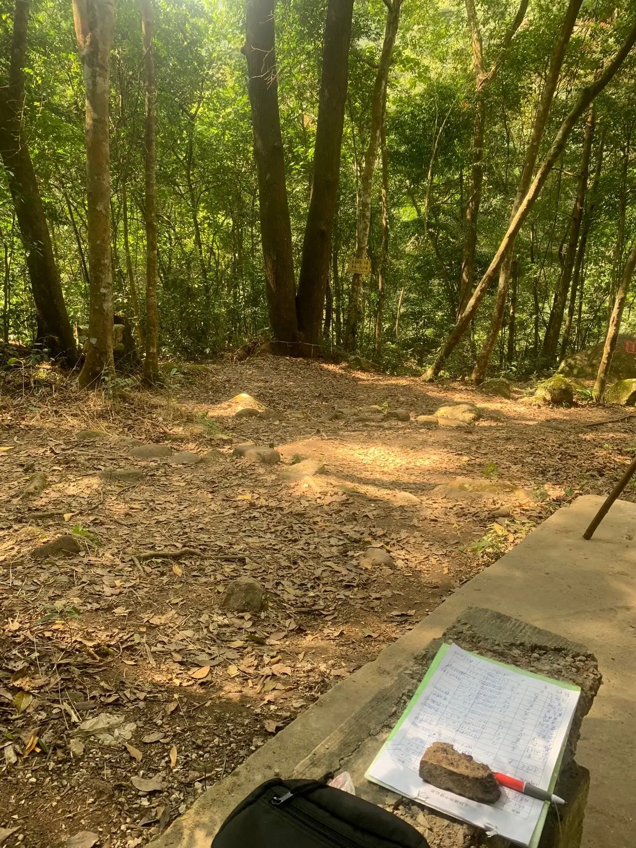 十万大山国家森林公园旅行图片 3