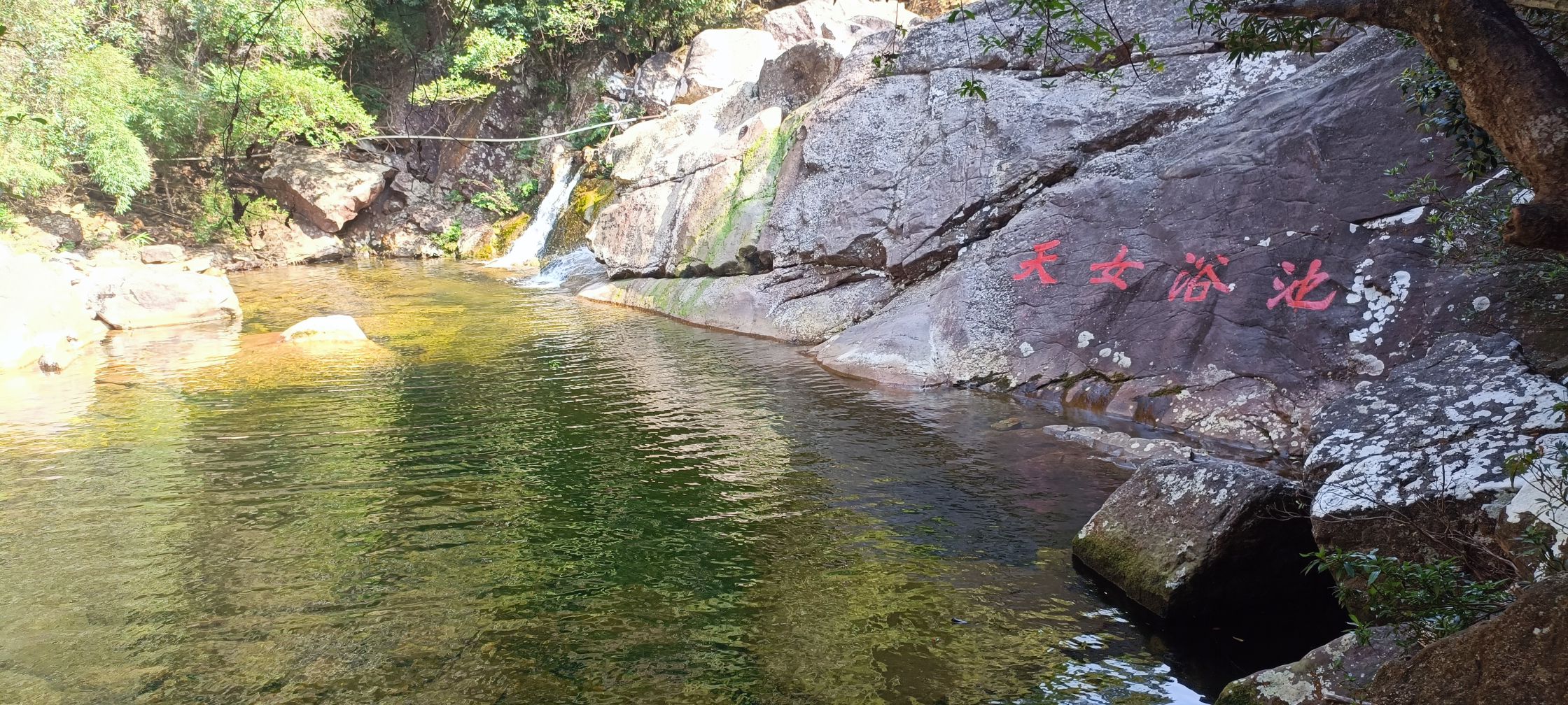 十万大山国家森林公园旅行图片 1