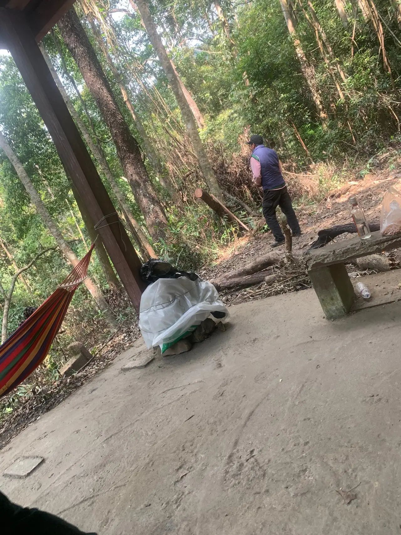 十万大山国家森林公园旅行图片 1