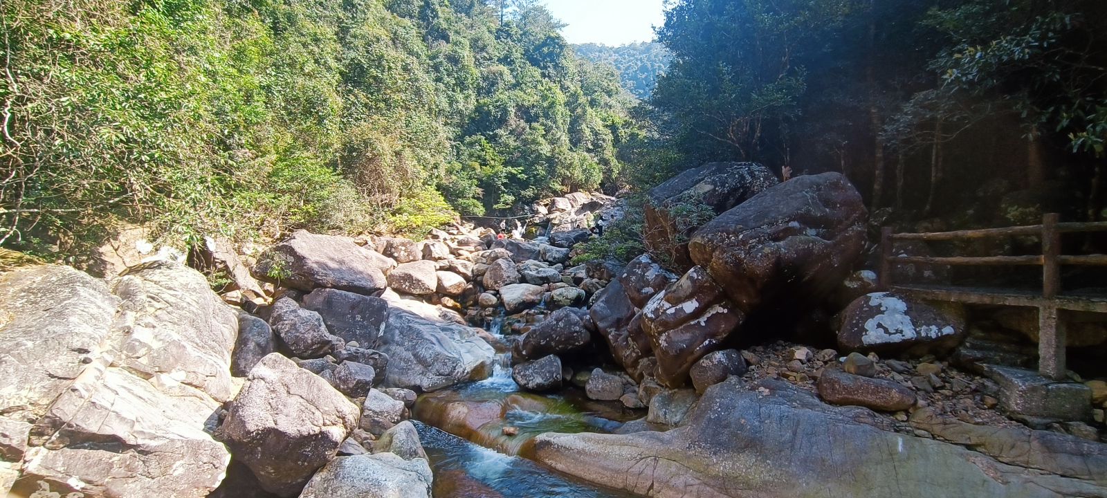 十万大山国家森林公园旅行图片 2