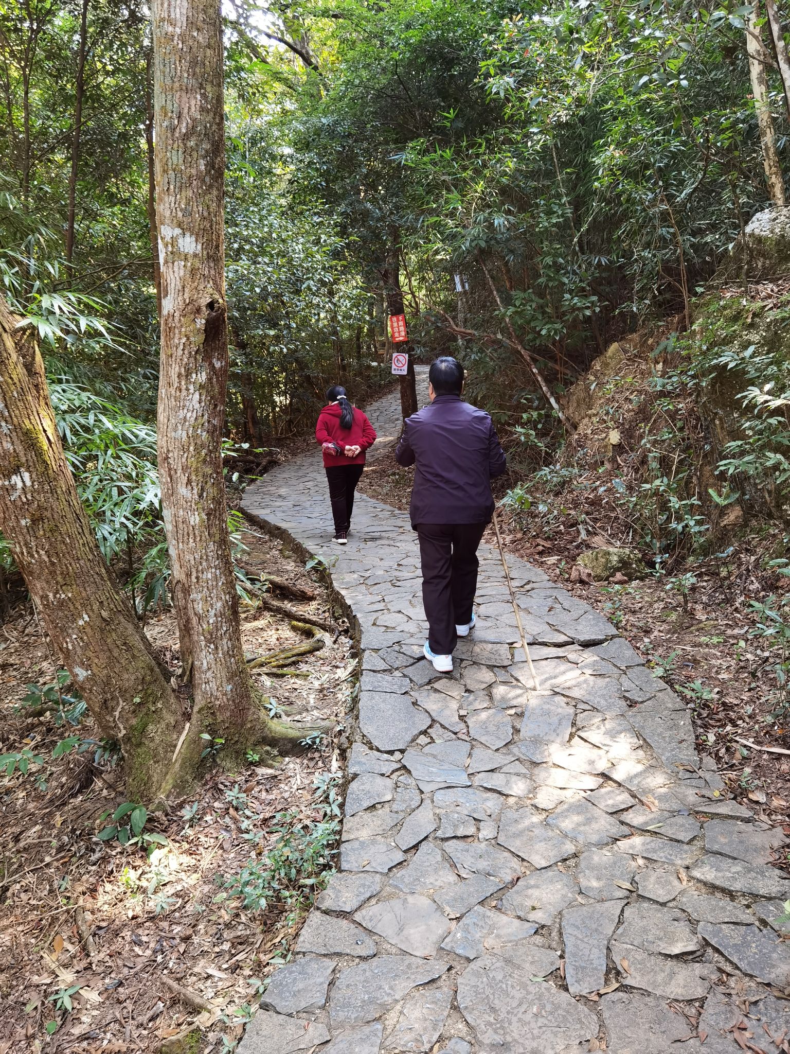 十万大山国家森林公园旅行图片 3