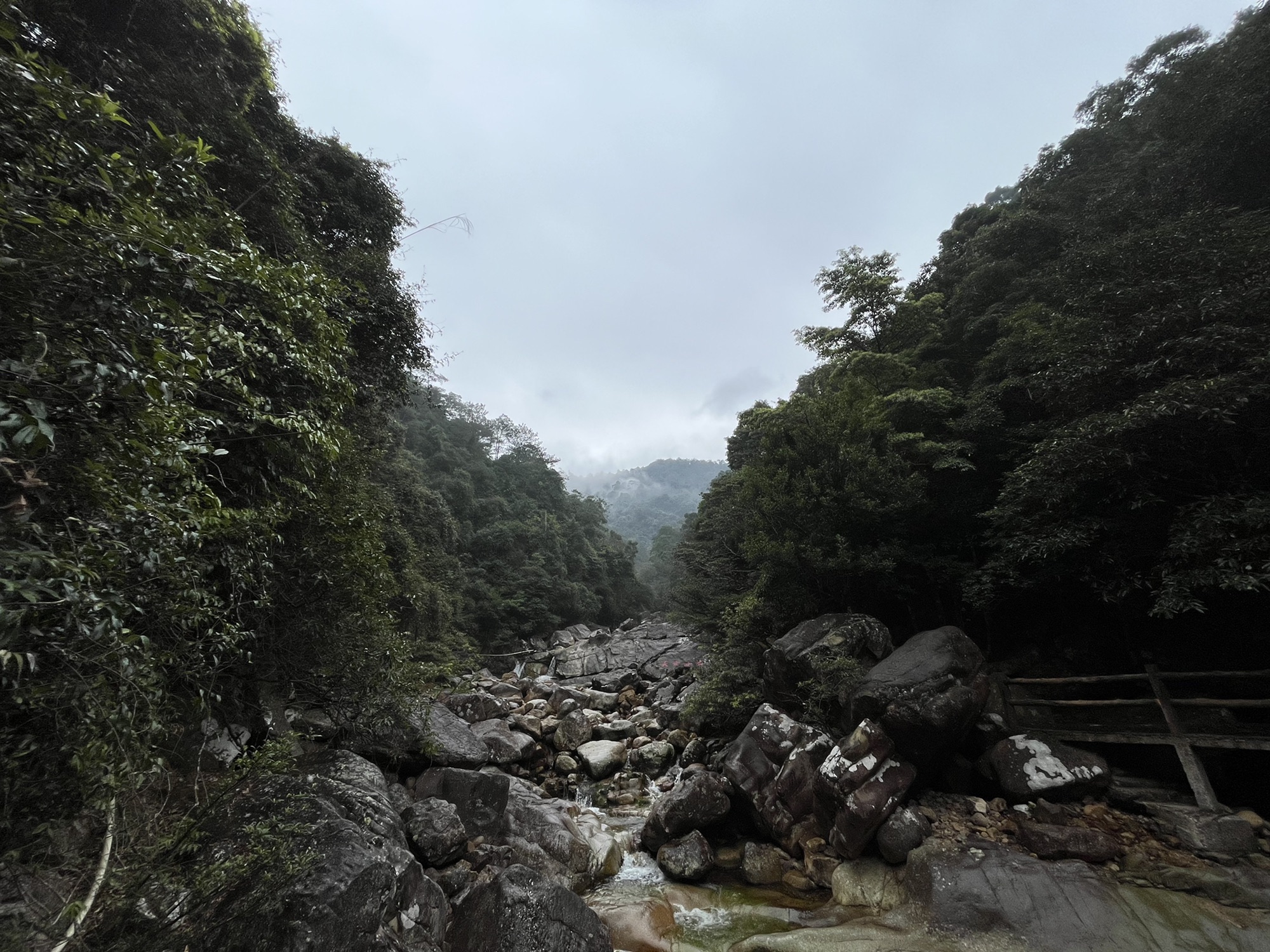 十万大山国家森林公园旅行图片 1