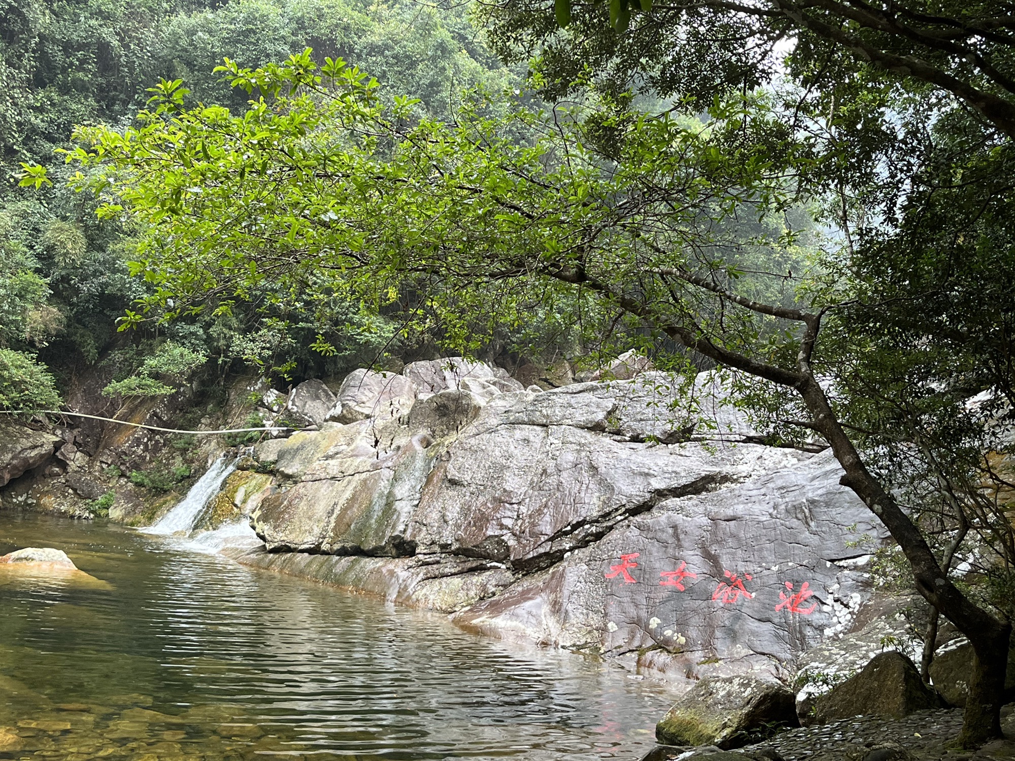 十万大山国家森林公园旅行图片 2