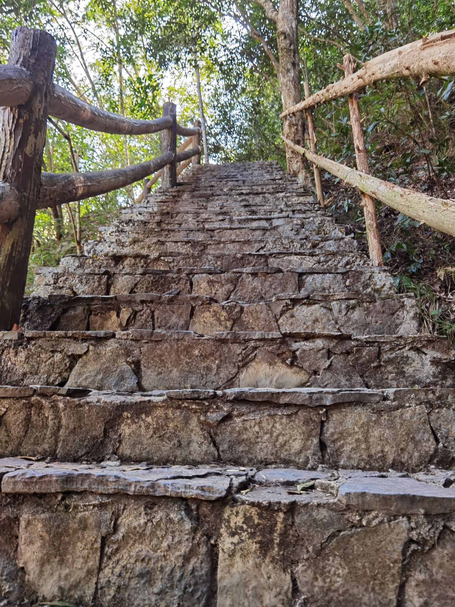 十万大山国家森林公园旅行图片 2