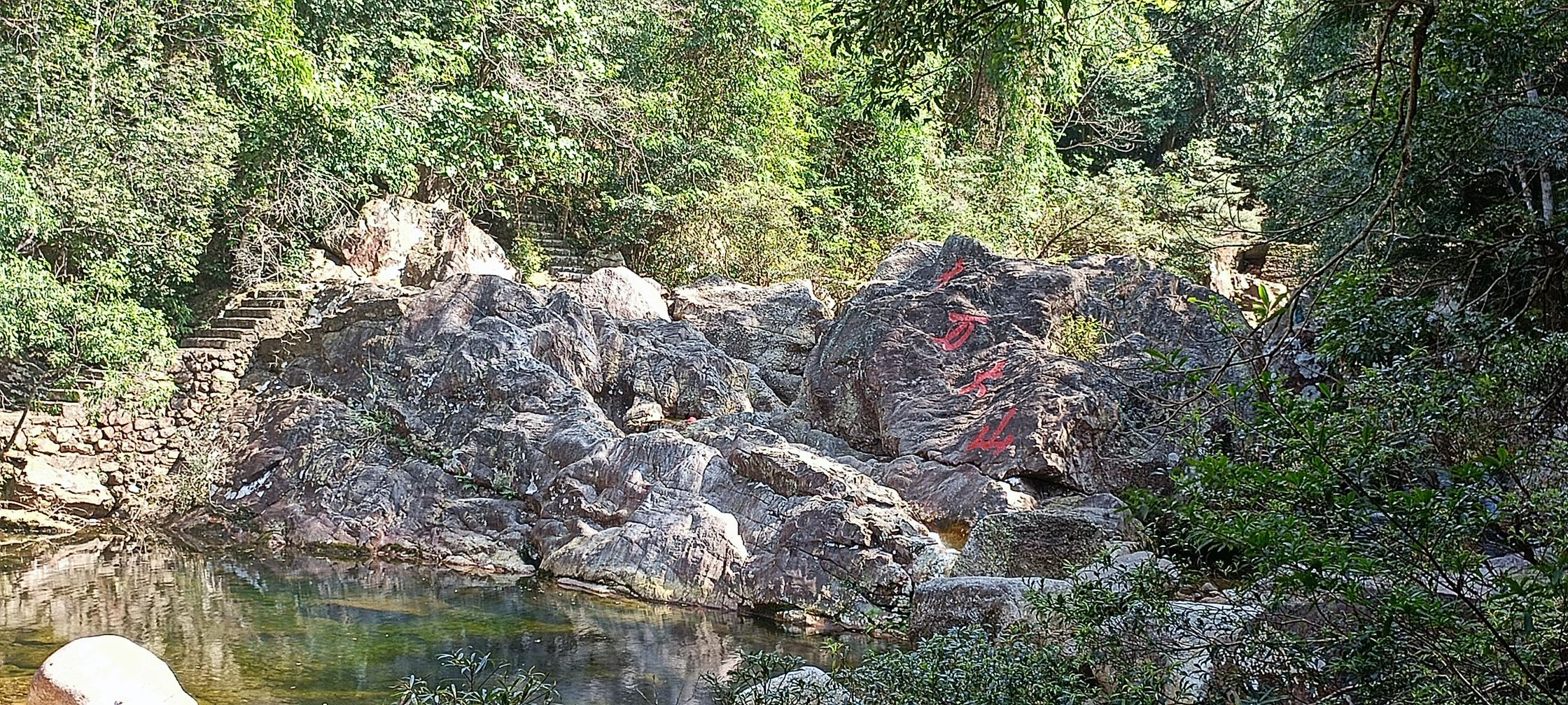 十万大山国家森林公园旅行图片 3