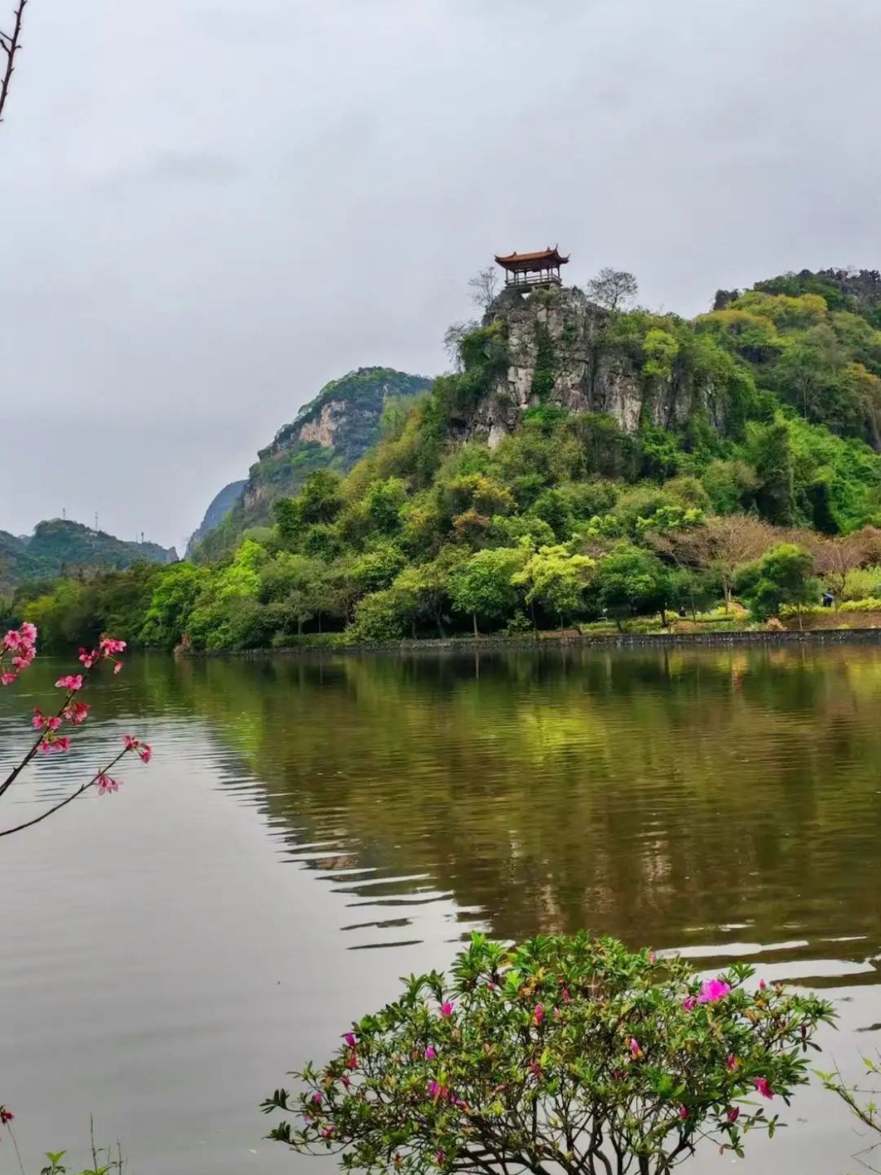 屏峰雨林公园旅行图片 1