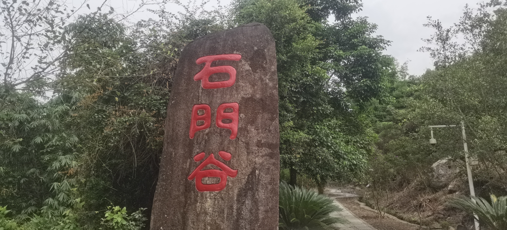 屏峰雨林公园旅行图片 1