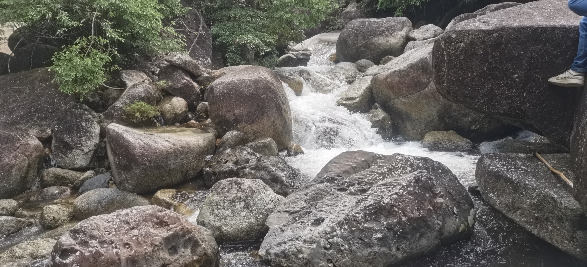 屏峰雨林公园旅行图片 3