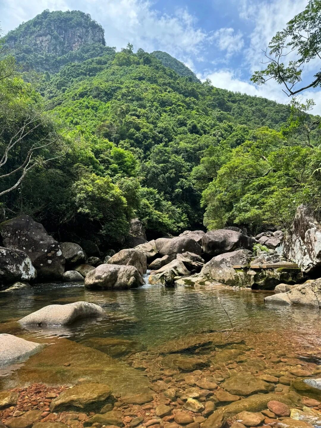 屏峰雨林公园旅行图片 1