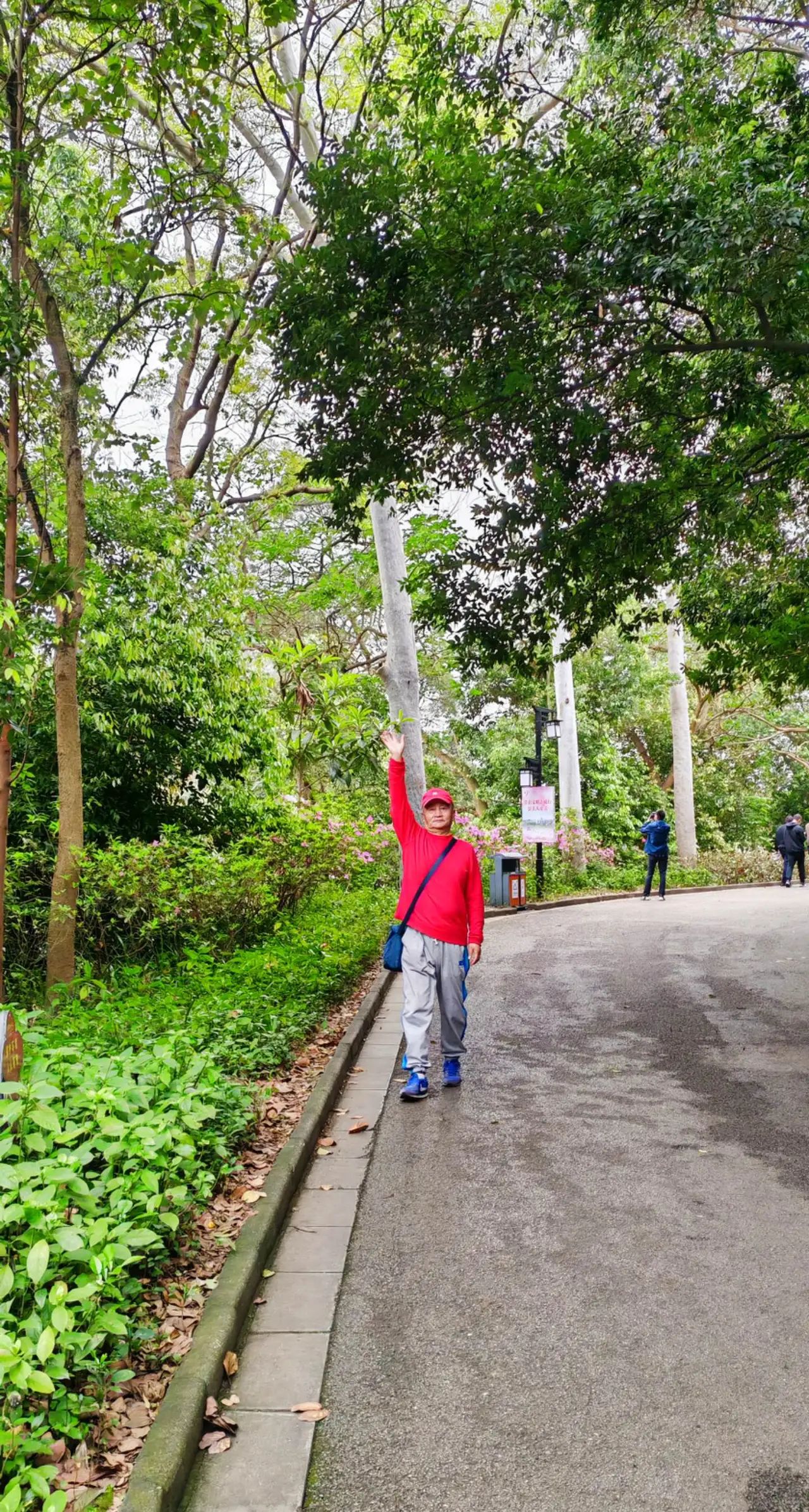 屏峰雨林公园旅行图片 2