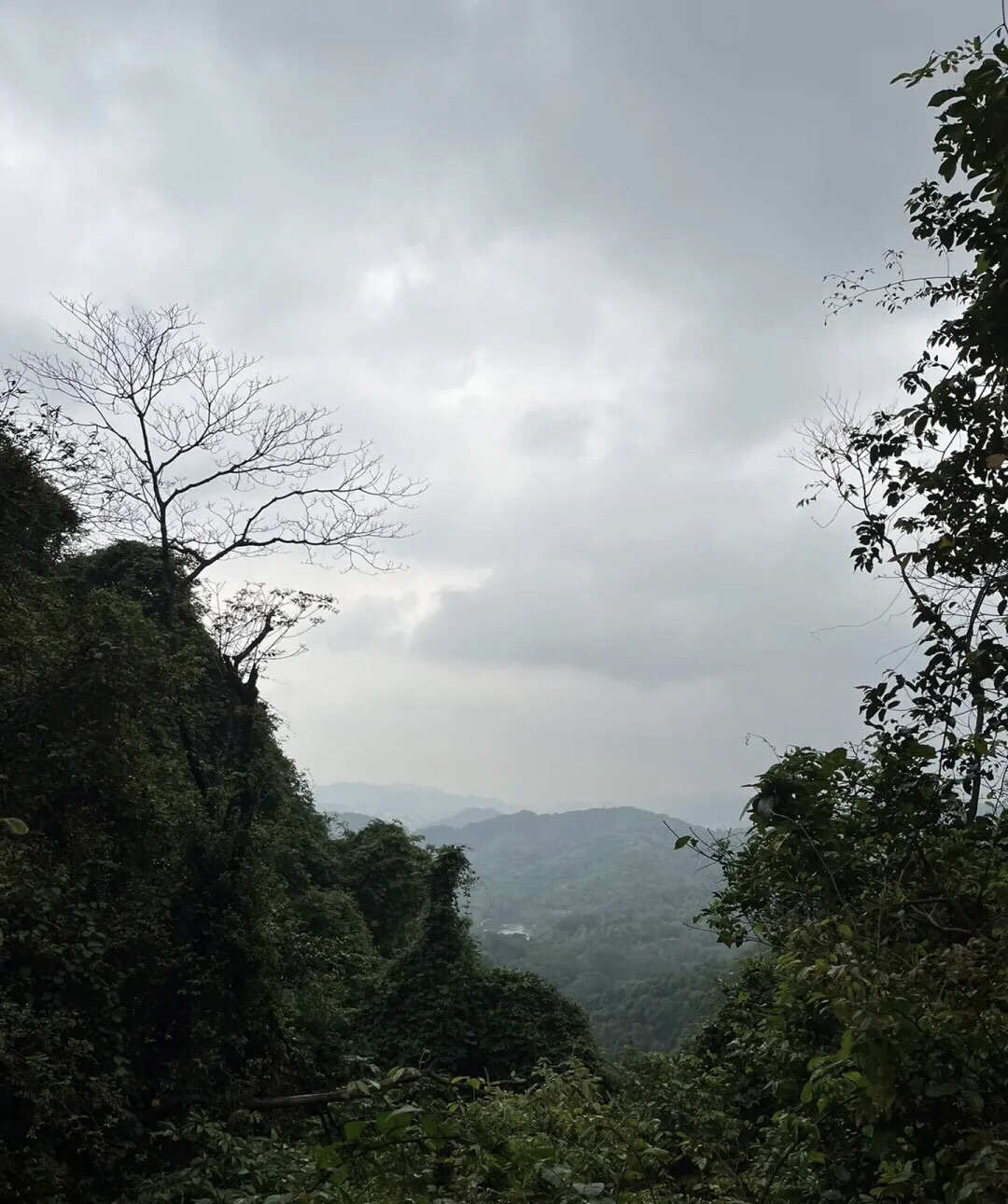 野人谷景区旅行图片 1