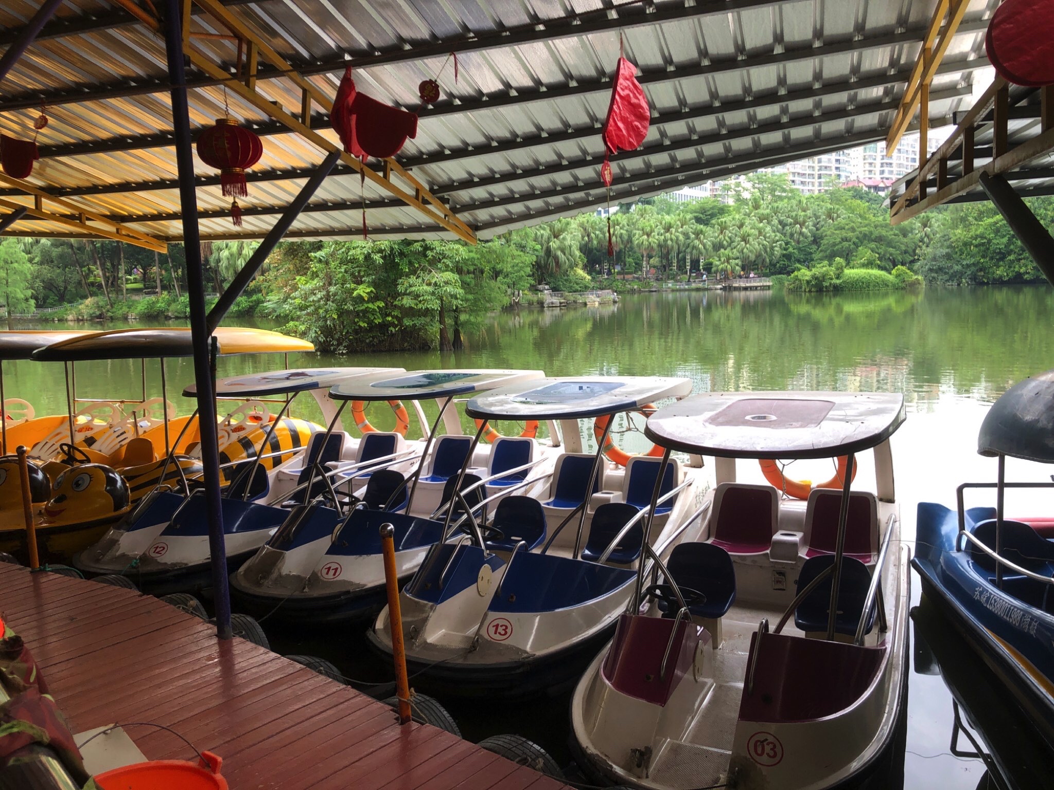 新秀公园旅行图片 3