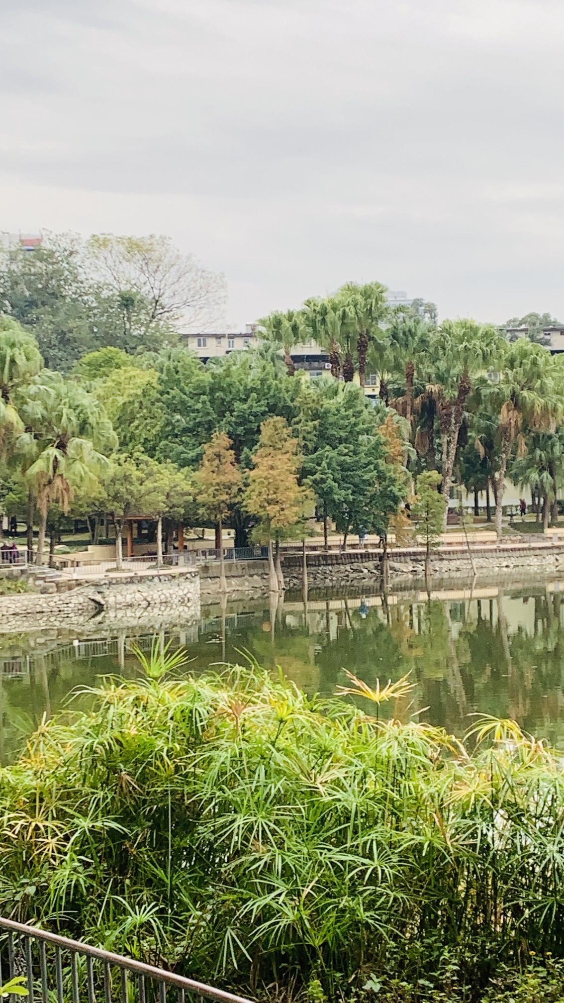新秀公园旅行图片 1