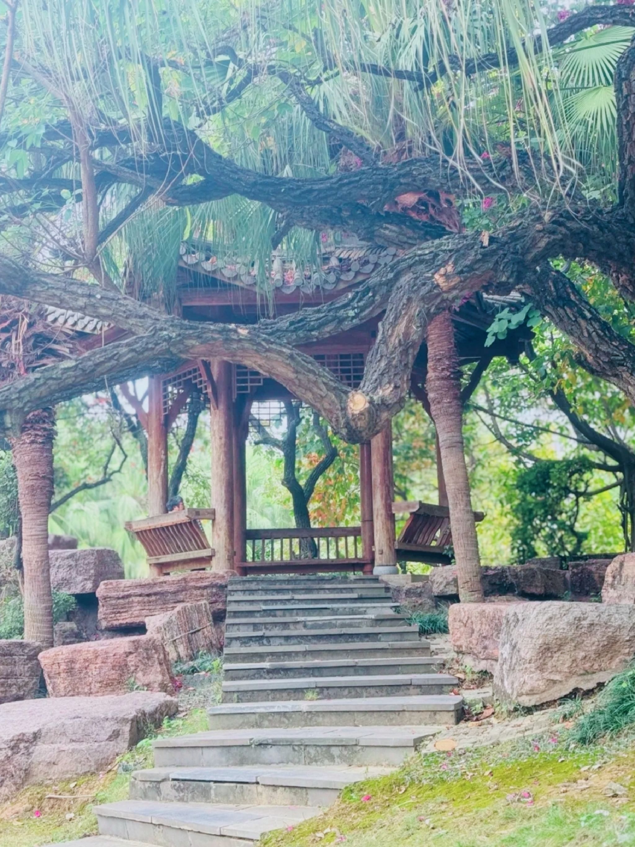 新秀公园旅行图片 1