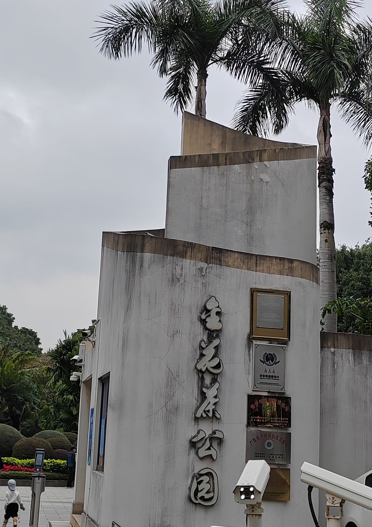 南宁市金花茶公园旅行图片 2