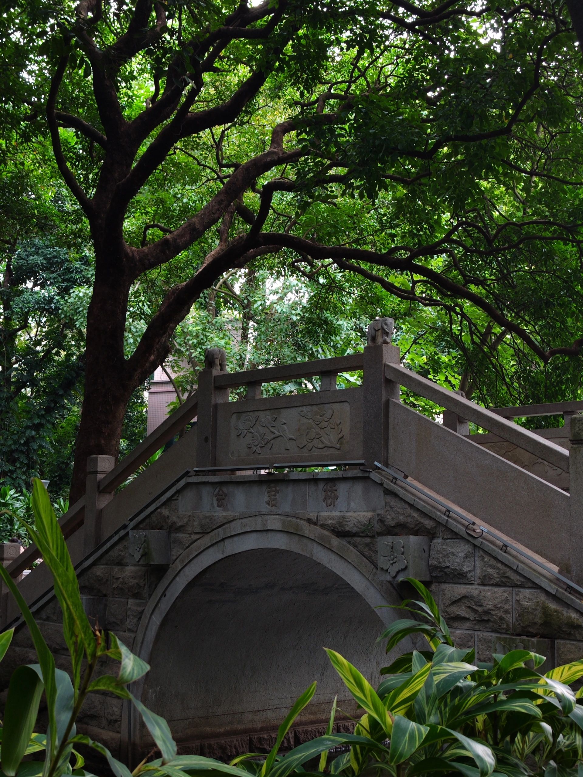 南宁市金花茶公园旅行图片 2