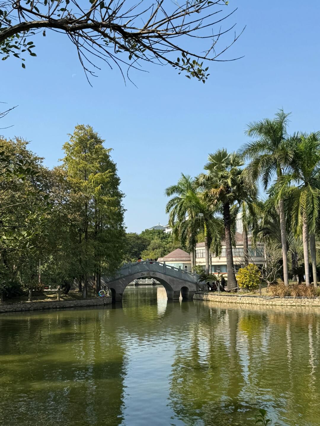 南宁市金花茶公园旅行图片 3