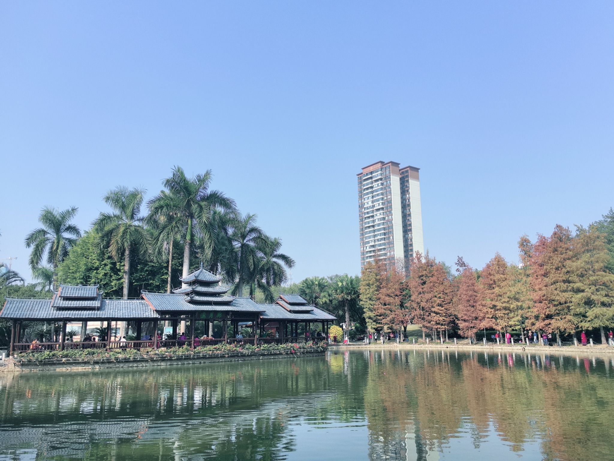 南宁市金花茶公园旅行图片 3