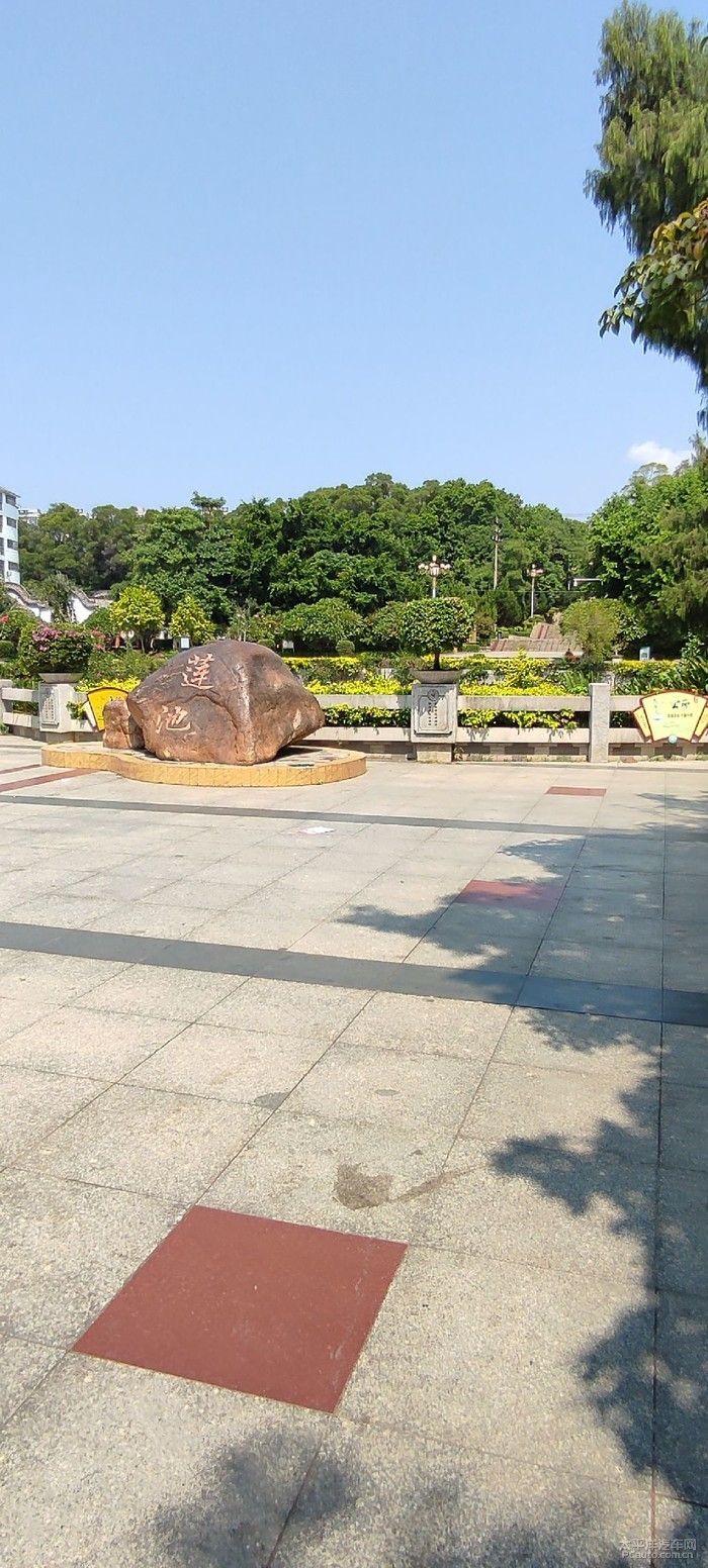 横州公园旅行图片 2