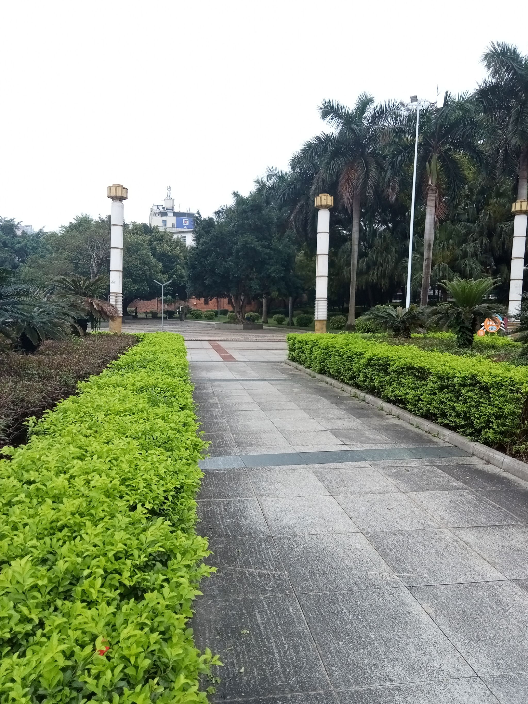 横州公园旅行图片 1