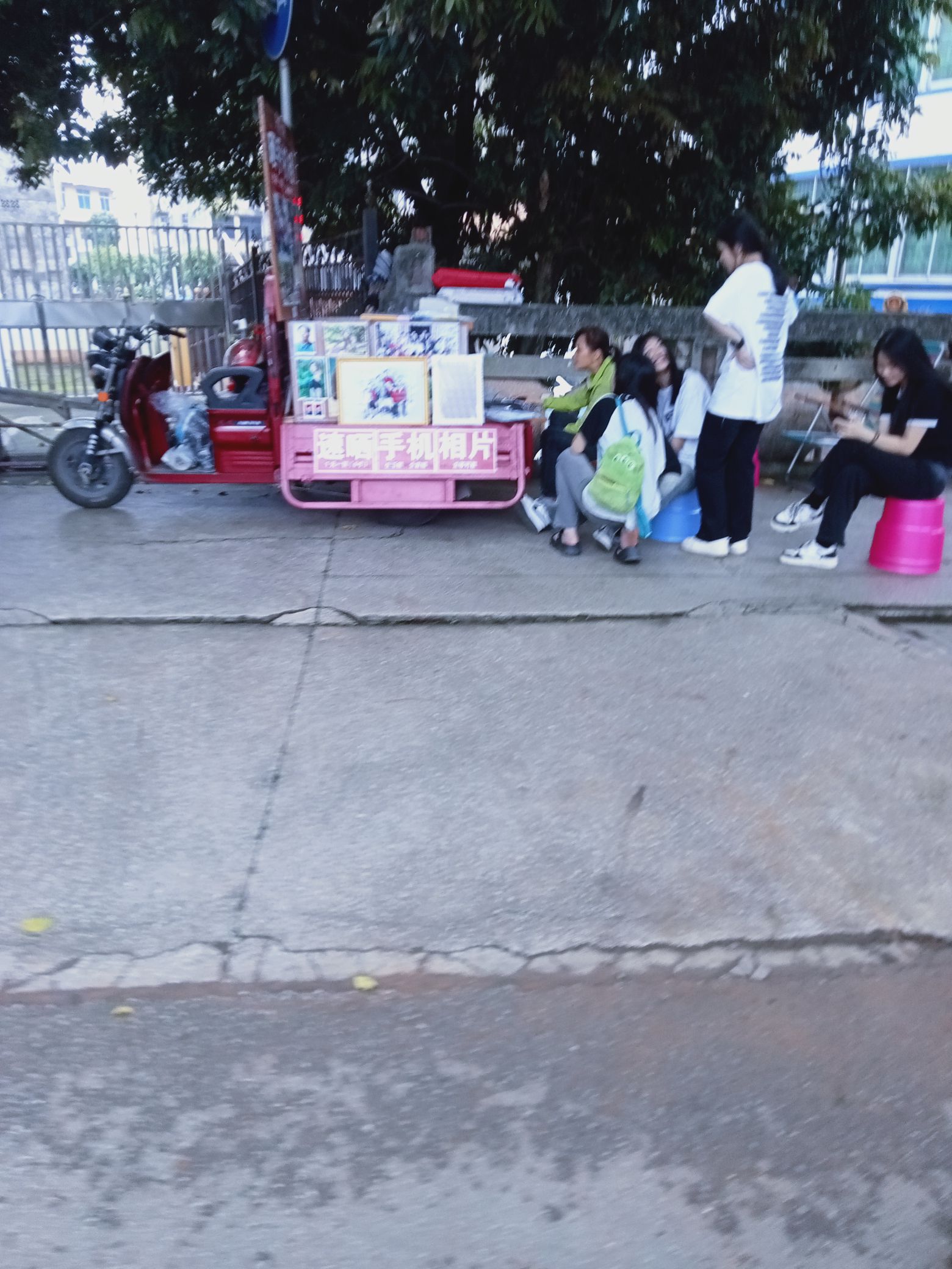 横州公园旅行图片 2