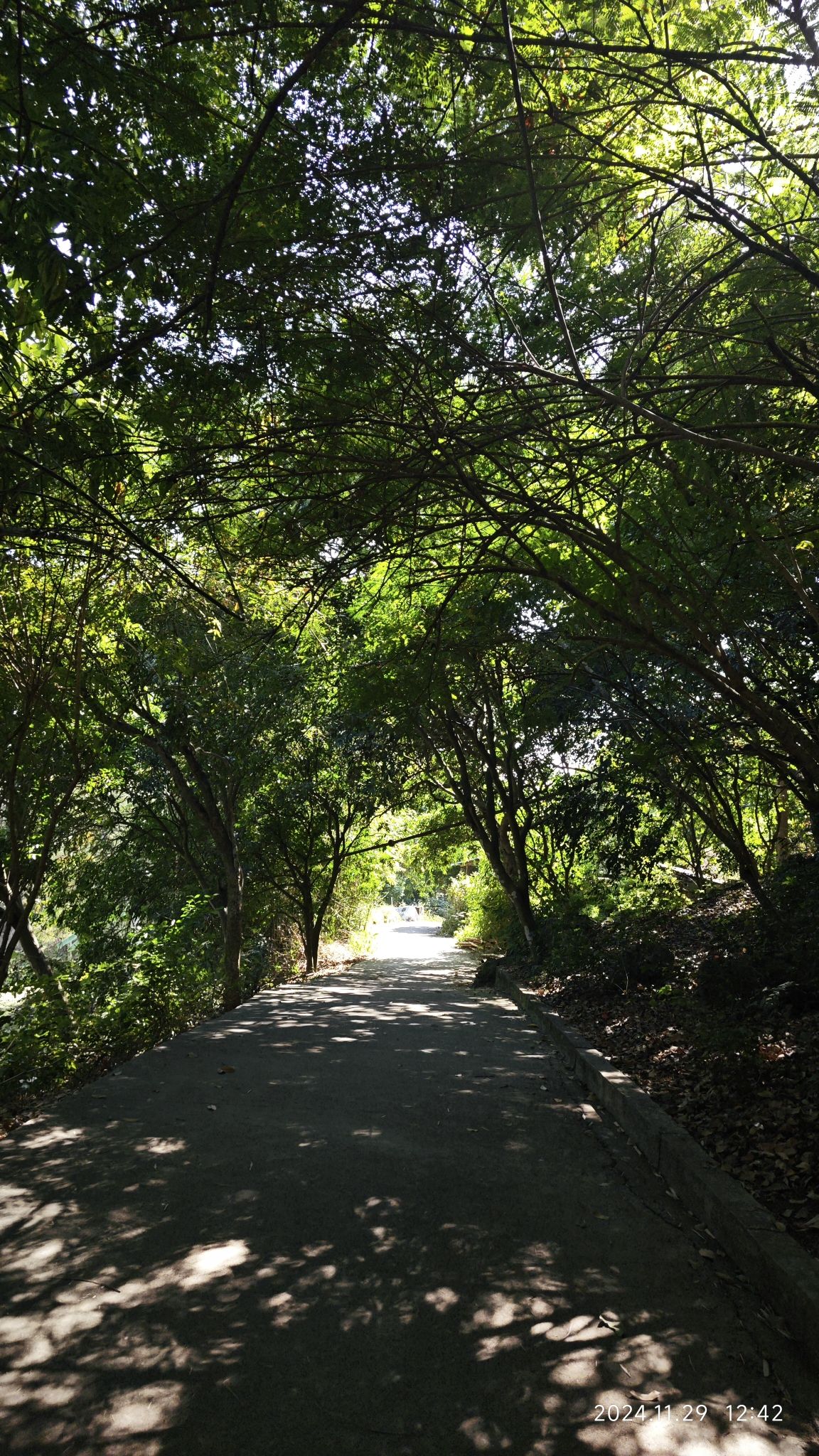 榜山文塔旅行图片 3