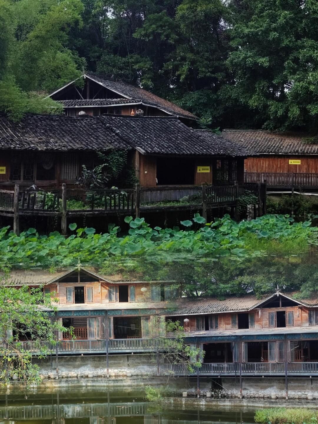 南宁市邕江南岸公园旅行图片 1