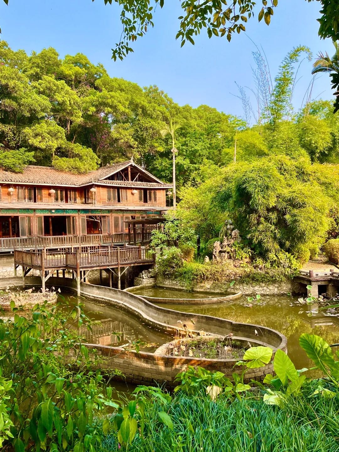 南宁市邕江南岸公园旅行图片 2