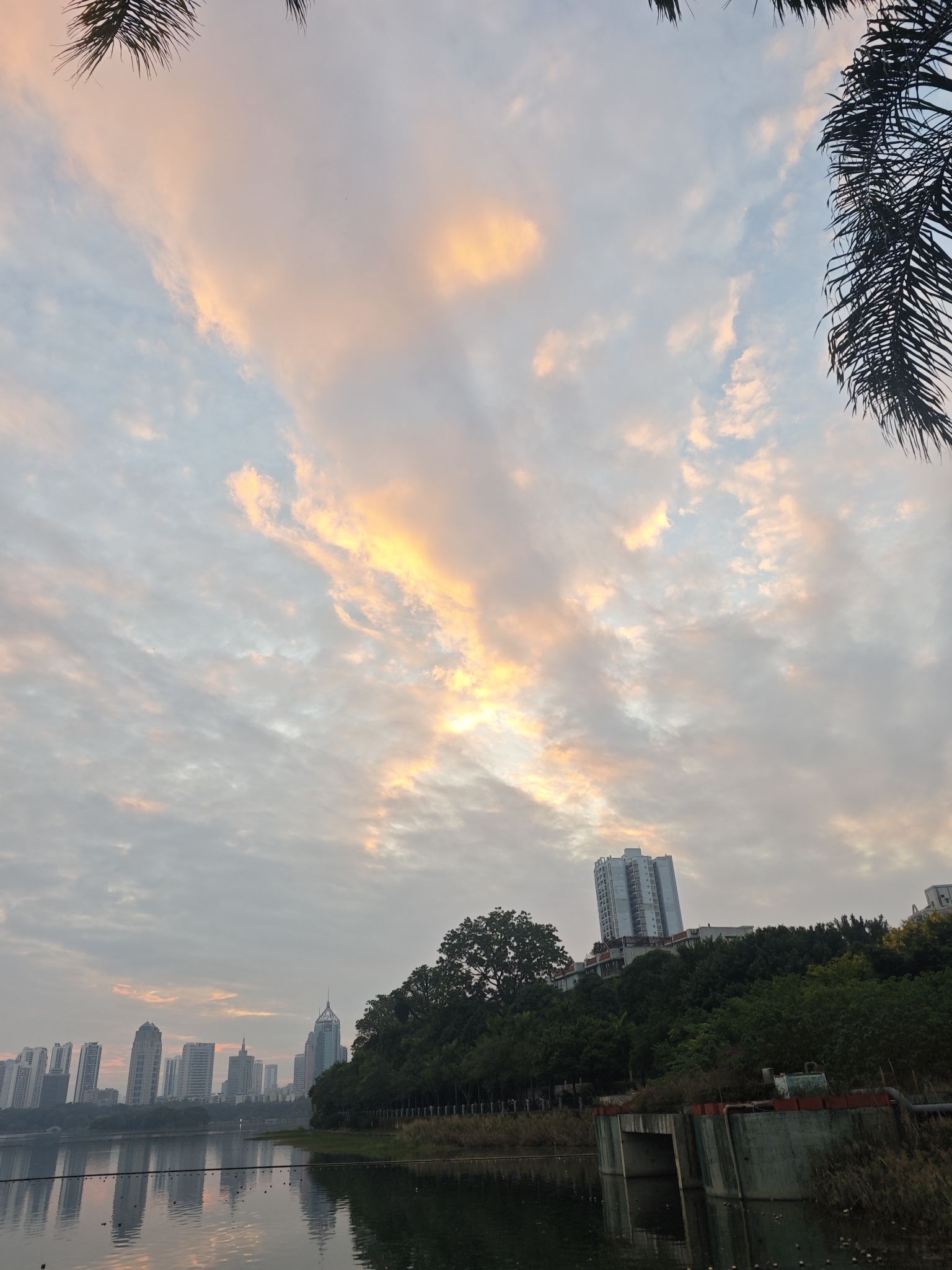 南湖公园旅行图片 1