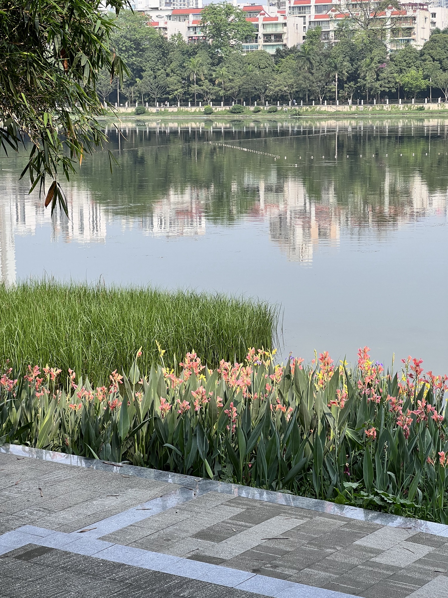 南湖公园旅行图片 1
