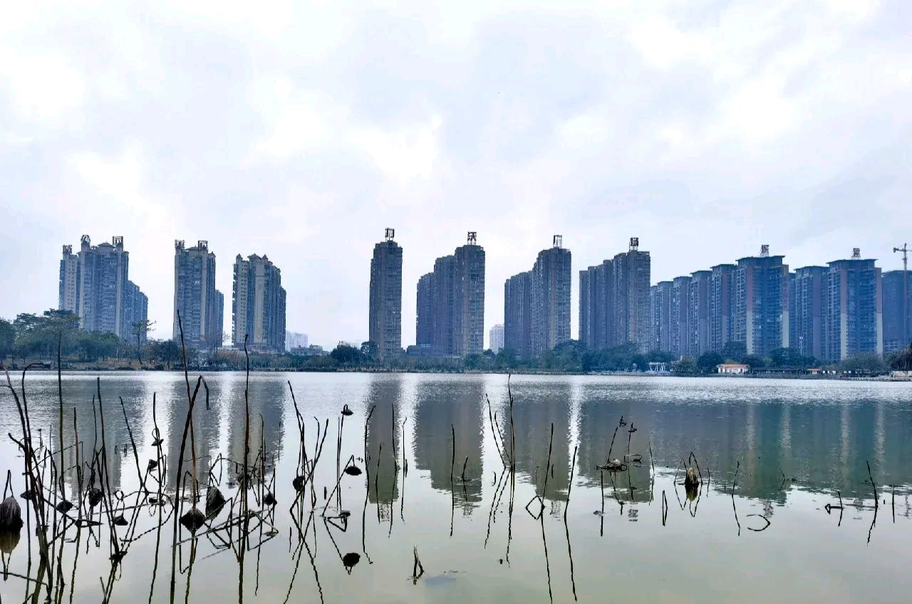 凤凰湖旅行图片 3