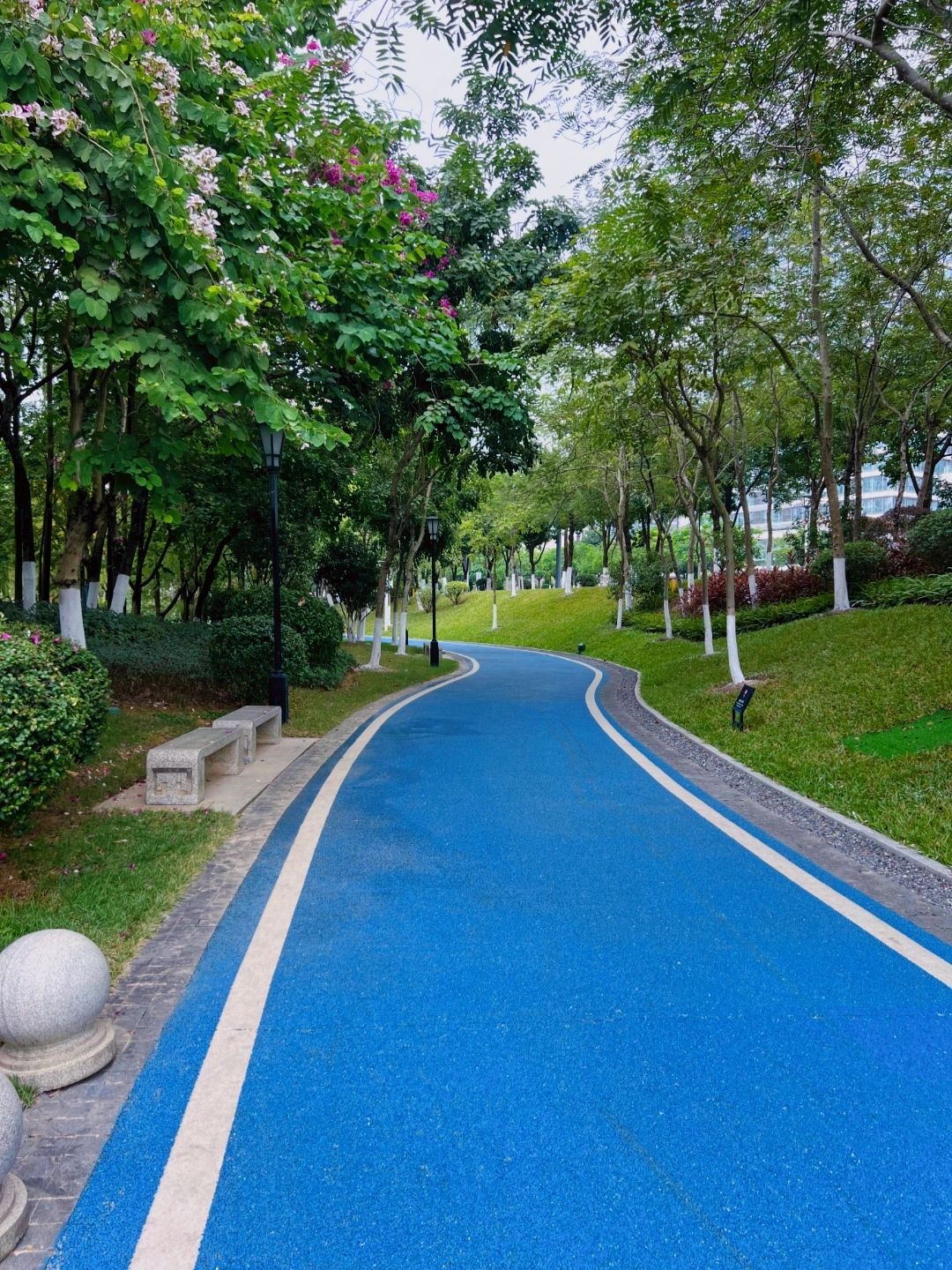 凤凰湖旅行图片 2