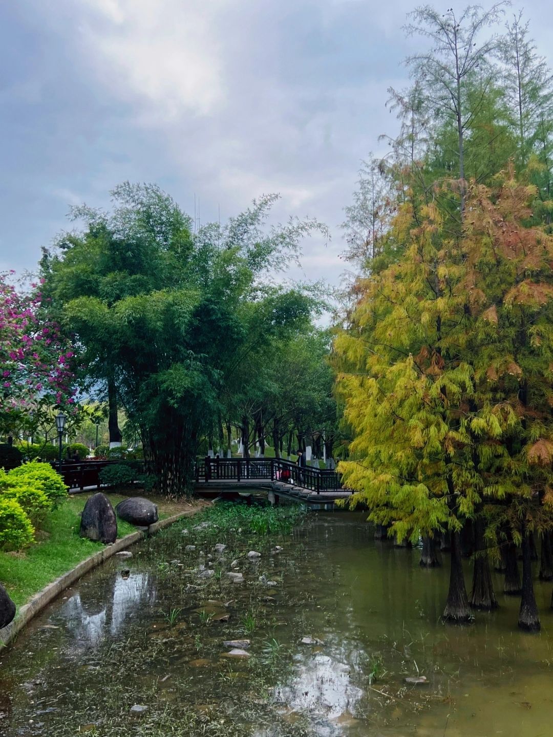 凤凰湖旅行图片 1