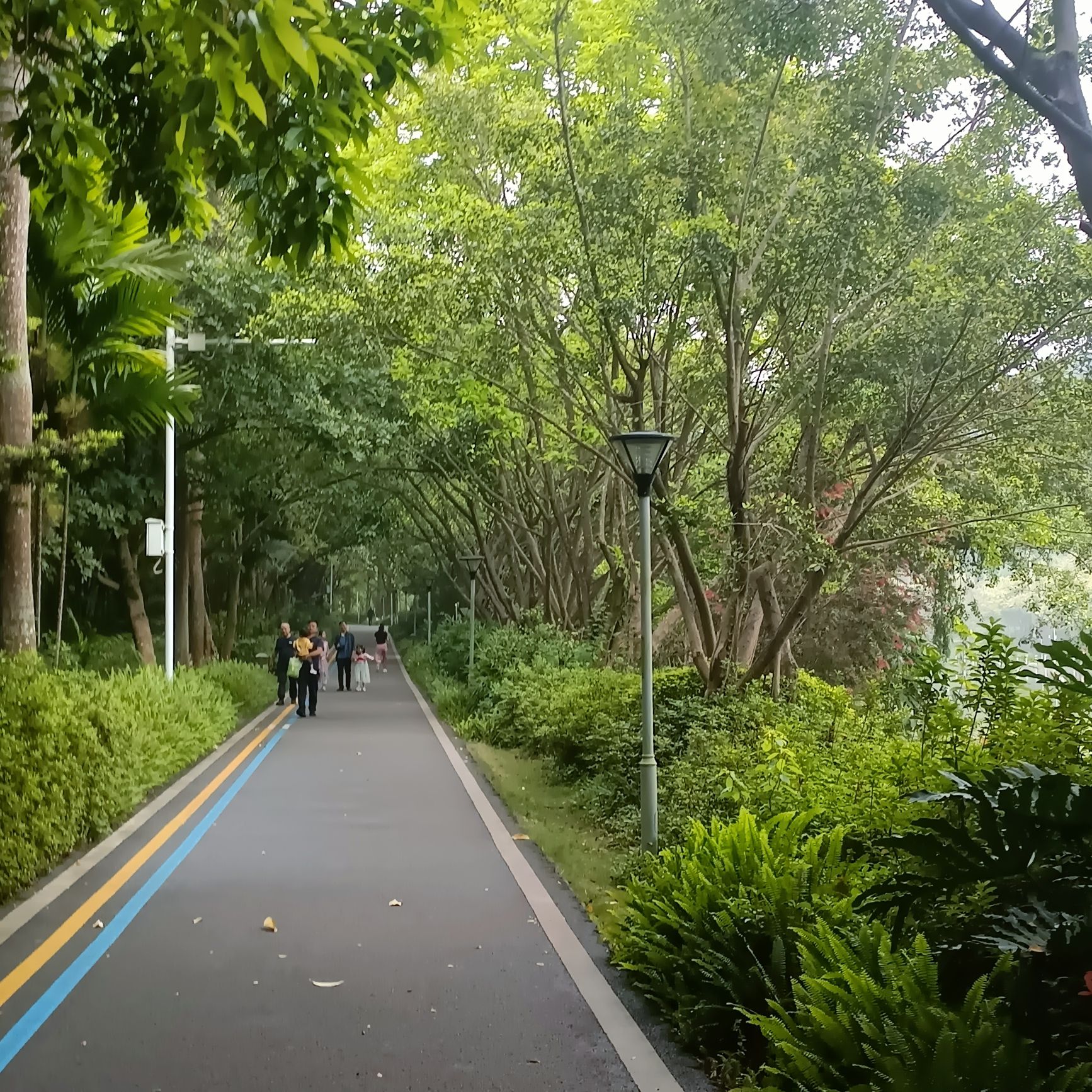 石门公园旅行图片 1