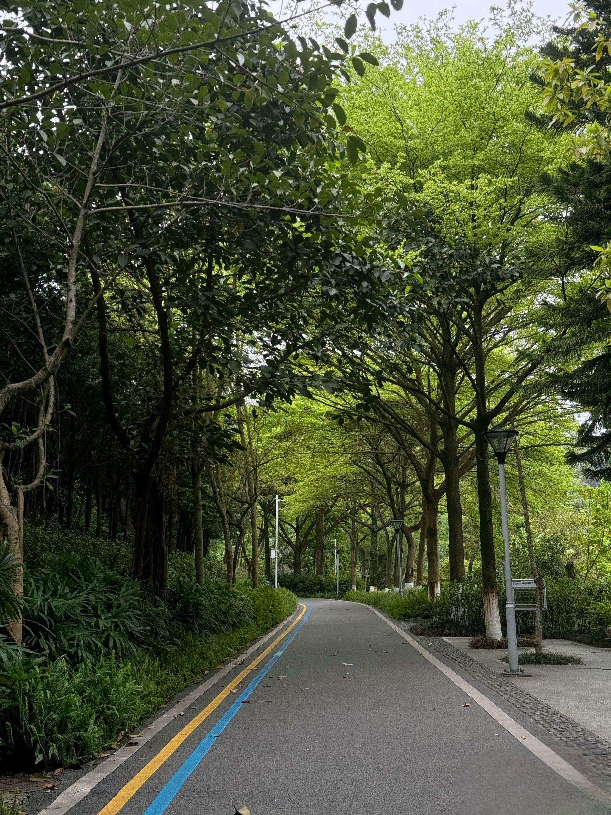 石门公园旅行图片 1