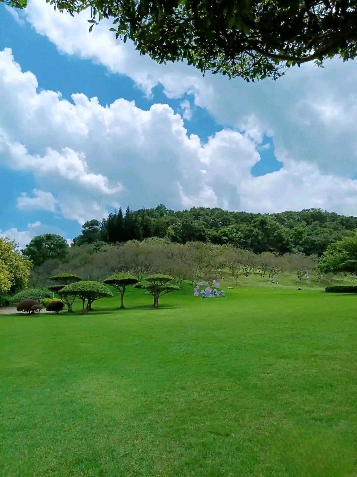 石门公园旅行图片 3