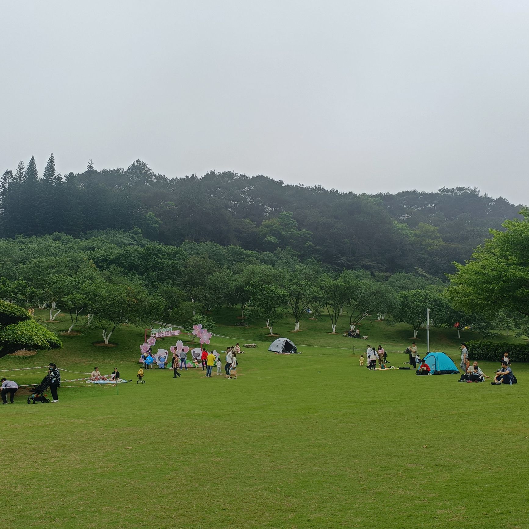 石门公园旅行图片 3