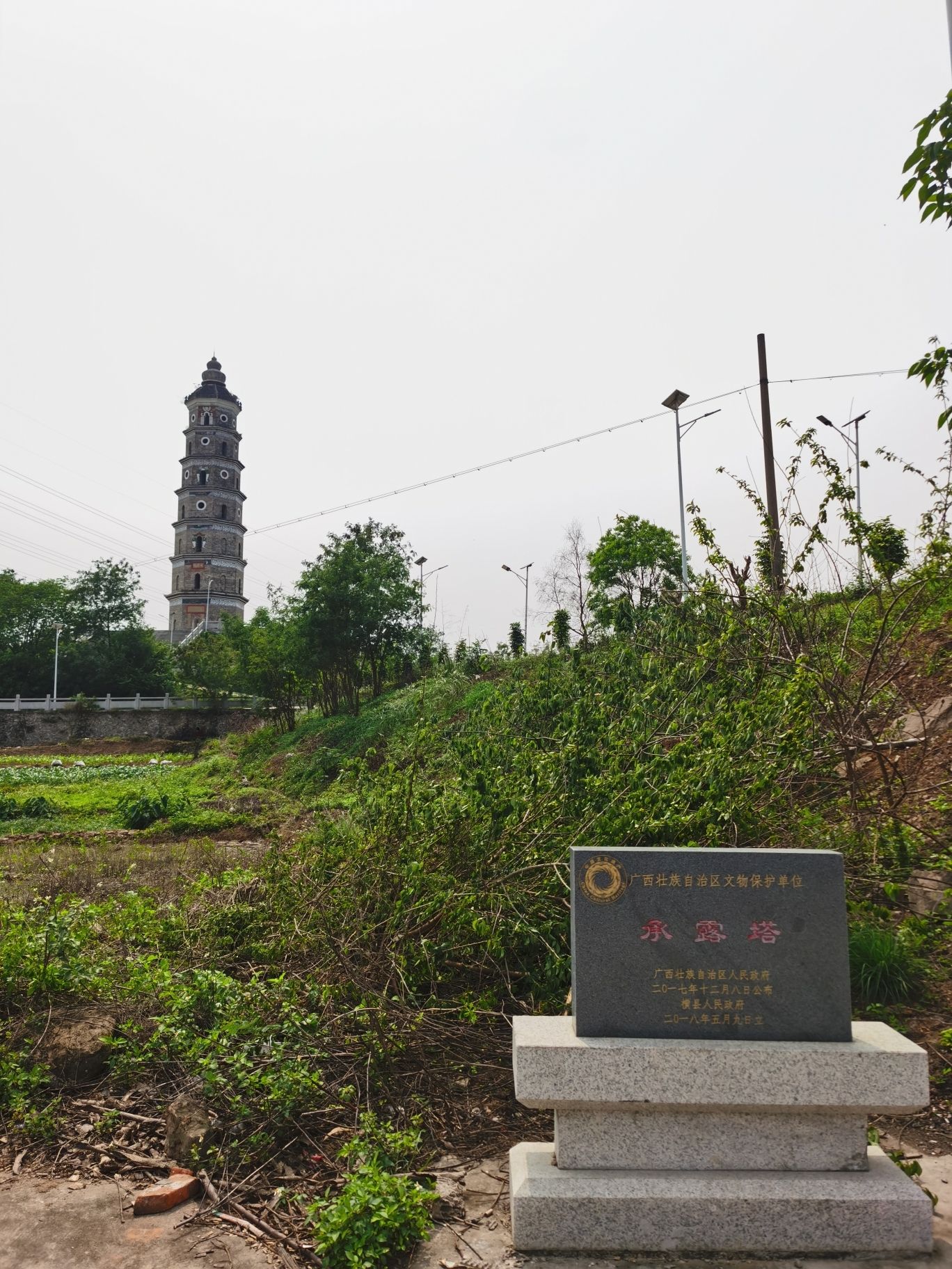 承露塔旅行图片 1