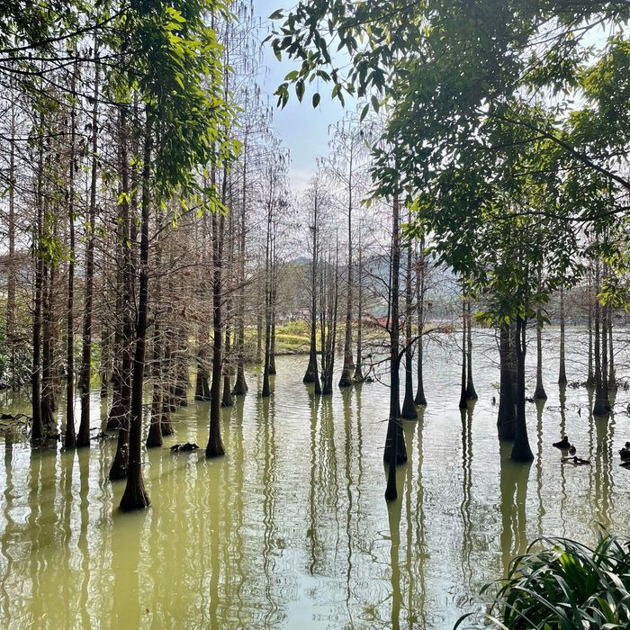 花花大世界旅行图片 3
