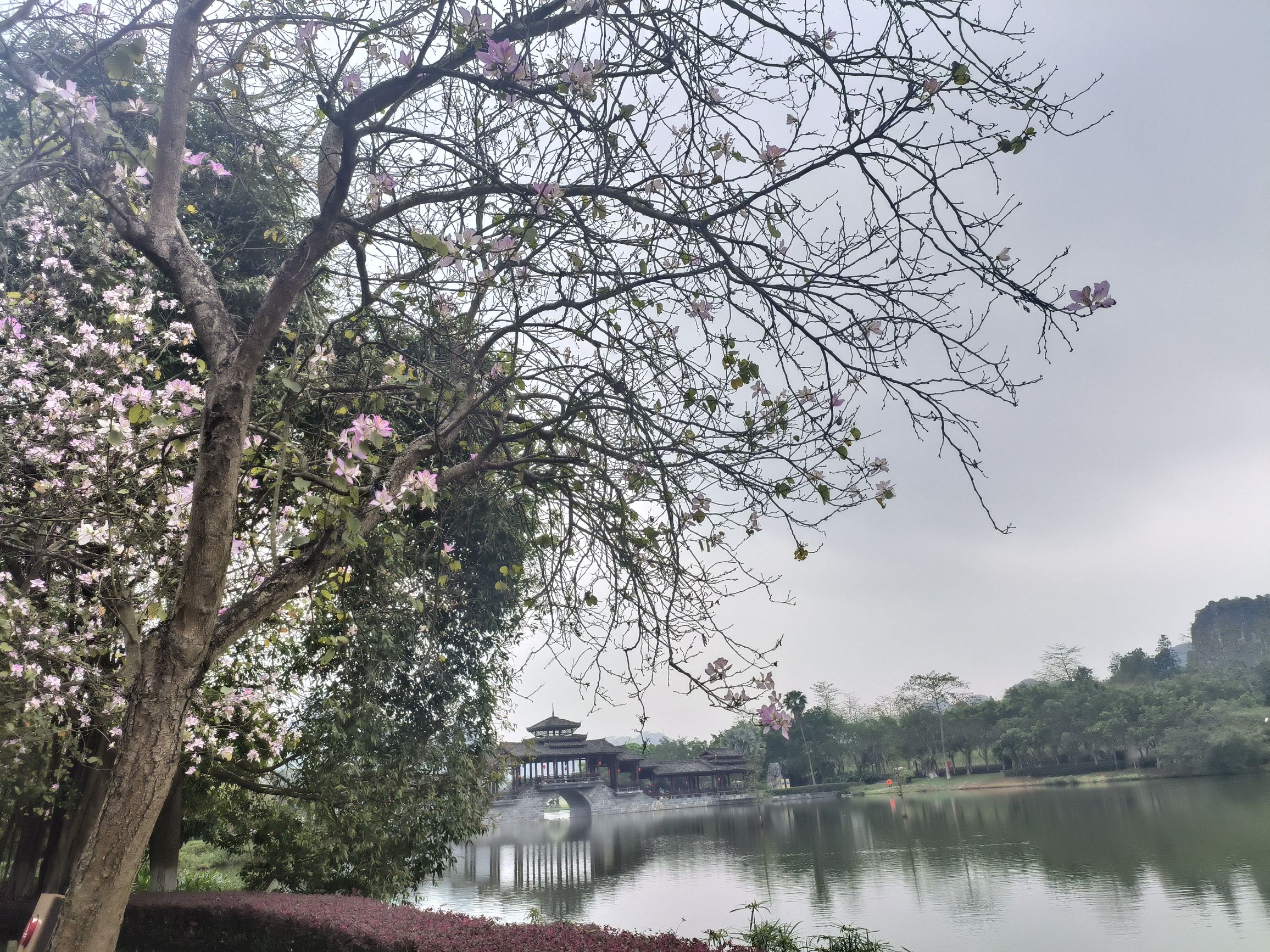 花花大世界旅行图片 2