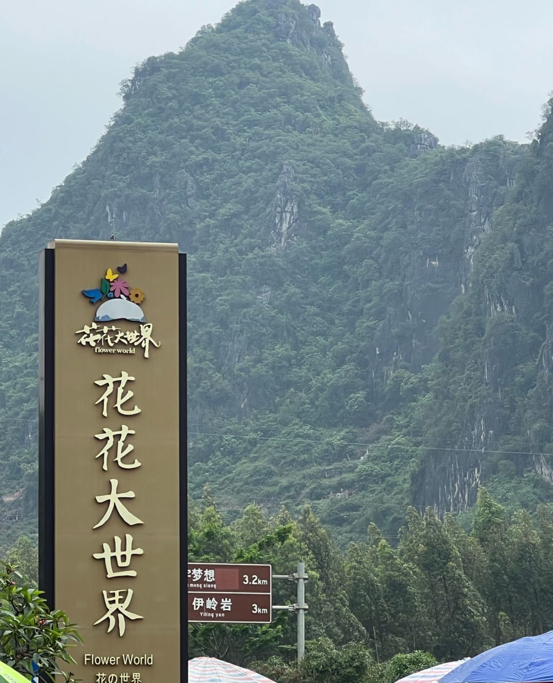 花花大世界旅行图片 1