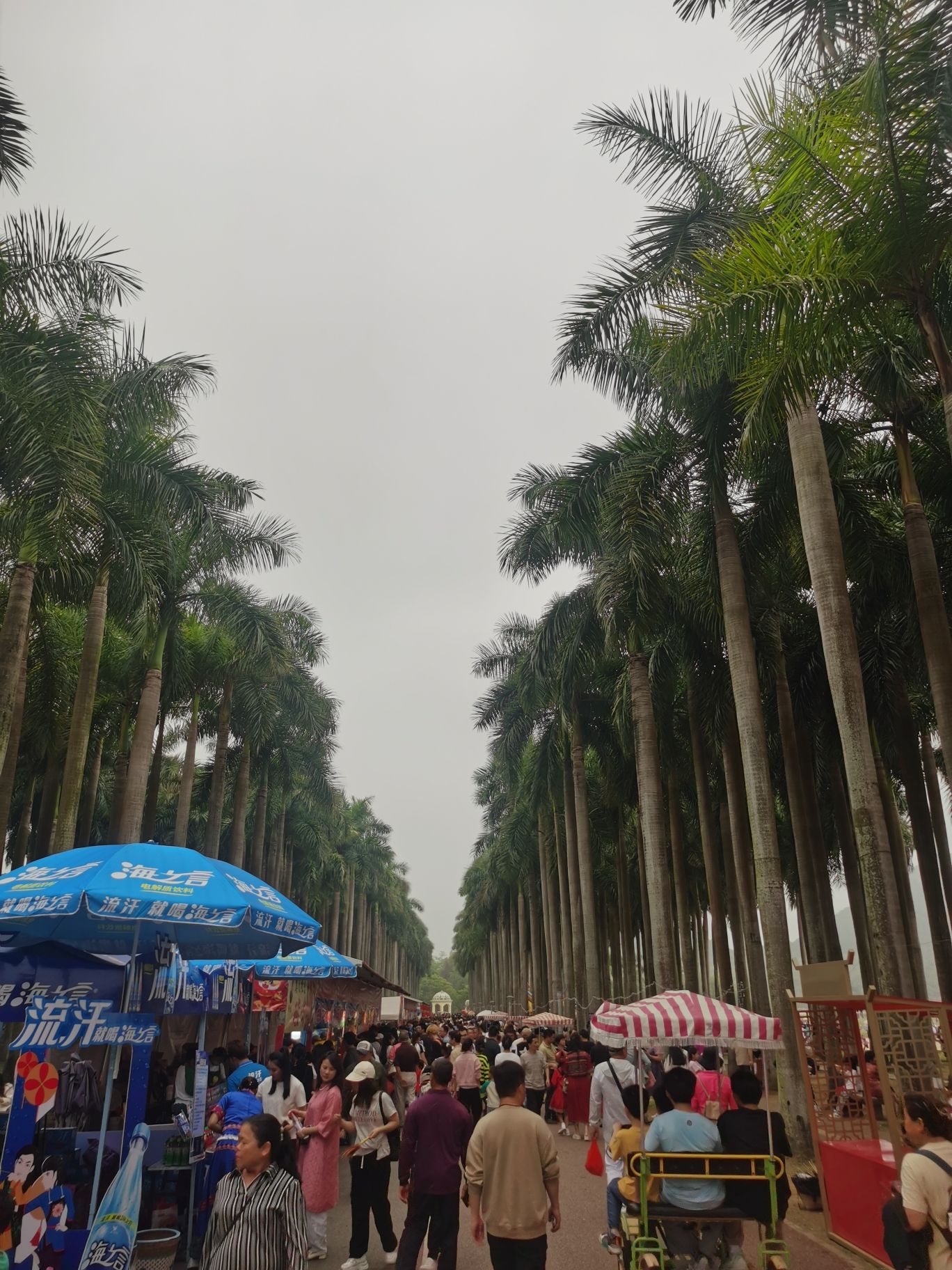 花花大世界旅行图片 1